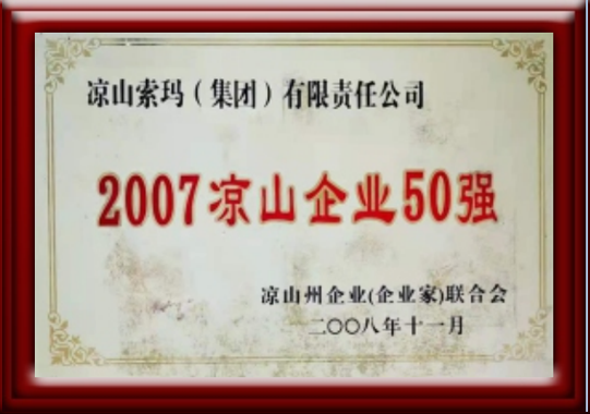  2007年凉山企业50强