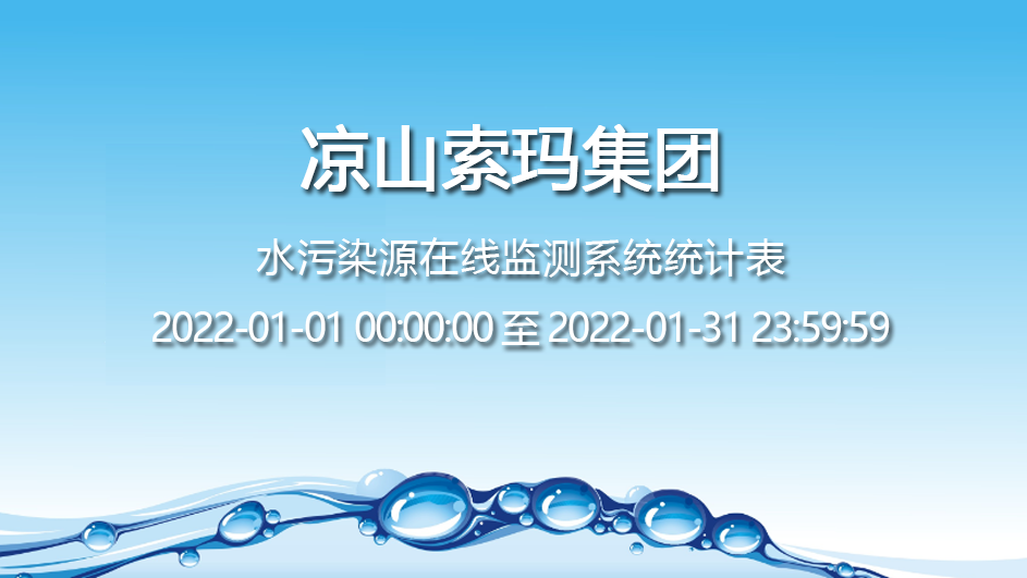  水污染源在线监测系统统计表 2022-01月