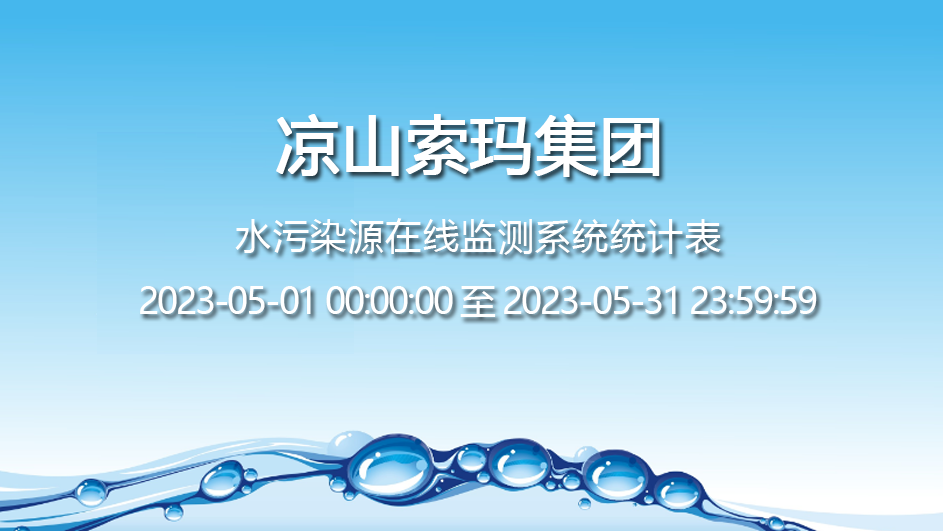  水污染源在线监测系统统计表 2023-5月