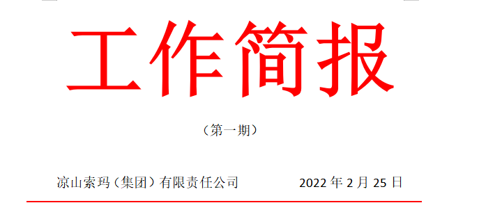  凉山索玛（集团）有限责任公司 组织开展节后复工复产前期安全生产培训会议